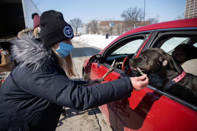 Fetching Tailsi fondi president Linda Wyka pakub Gucci Roséle Cooki maakonna šerifi büroo lemmikloomatoidu sahvri ajal maiuspala.