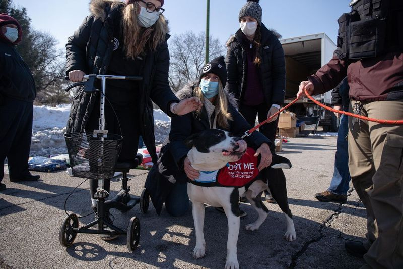 Vasakult paremale: Kristy Michalski, Fetching Tailsi fondi vabatahtlike koordinaator, Linda Wyka, Fetching Tailsi fondi president ja vabatahtlik Melanie Giovannelli mängivad Pierre
