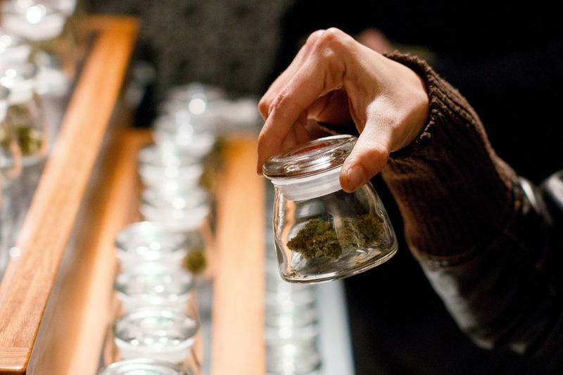 Un cliente sostiene una muestra de cogollos de marihuana en un dispensario de Oregon. | Foto AP / Ryan Kang