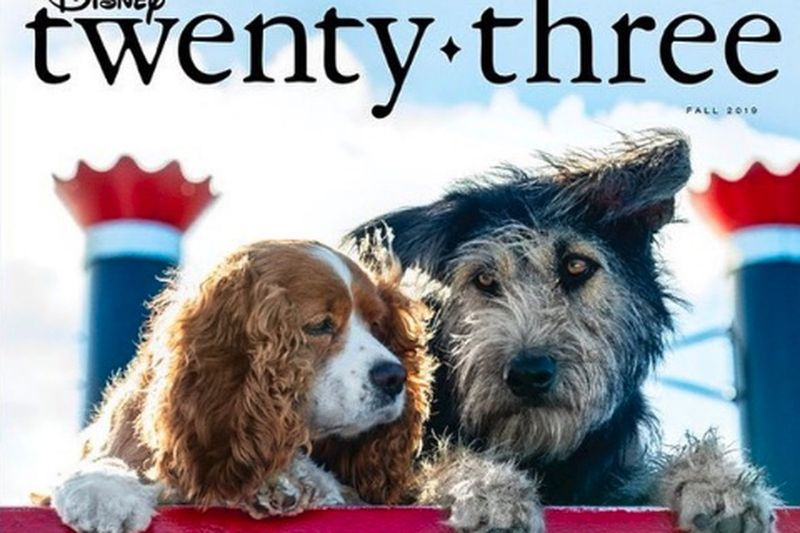 Den nye Tramp (udtalt af Justin Theroux) er en perfekt skurret vagabond-mutt, der viser et blik på hans usandsynlige kærlighed, den raffinerede spaniel Lady (udtalt af Tessa Thompson).