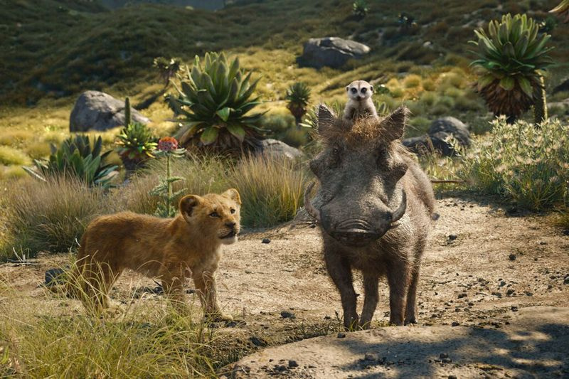 Simba, Pumba și Timon într-o fotografie din filmul Regele Leu