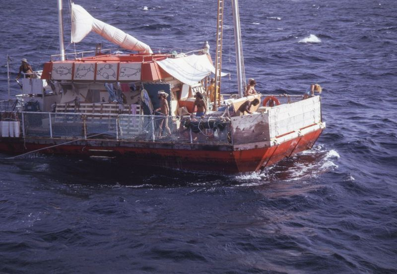 Acali parv läks 1973. aastal teele üheteistkümne inimesega pardal, seda näidatakse dokumentaalfilmis The Raft.