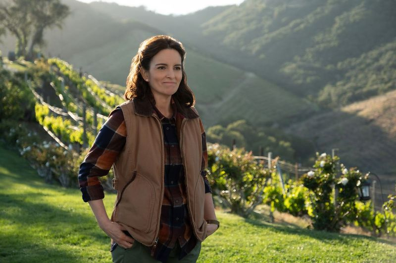 Tina Fey joacă rolul proprietarului unei proprietăți luxoase din Napa Valley din Wine Country. | Netflix