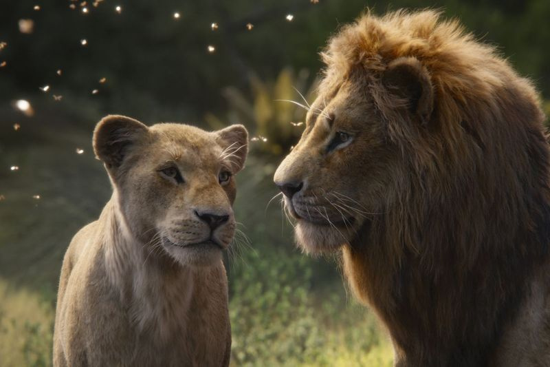 Nala, exprimée par Beyoncé Knowles-Carter (à gauche) et Simba, exprimée par Donald Glover dans une scène du Roi Lion.