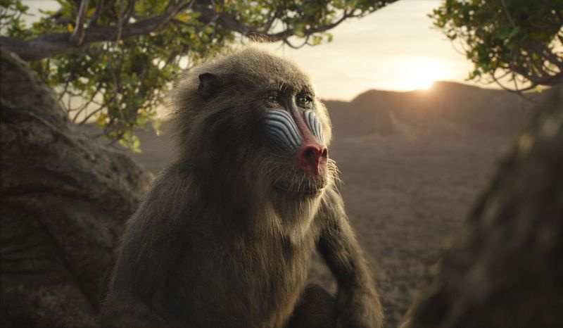 Rafiki, exprimé par John Kani, dans une scène du Roi Lion.