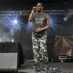 Åbn Mike Eagle på første dag af Pitchfork Music Festival. | Ashlee Rezin/Sun-Times