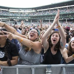 I fan esultano per gli Struts al Wrigley Field | Ashlee Rezin/Ora del sole