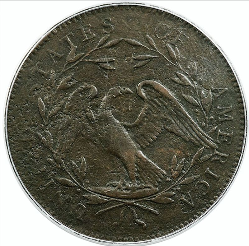 „No Stars Flowing Hair Dollar“ nugarėlė.