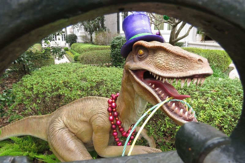 Dinosaurus s cylindrom, zobrazený v utorok 26. januára 2021, je medzi ozdobami Mardi Gras na dvore kaštieľa na St. Charles Avenue v New Orleans.