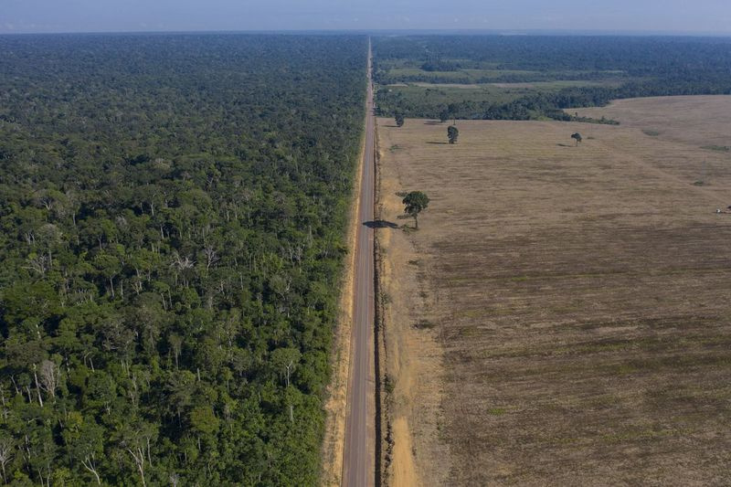 Šioje 2019 m. lapkričio 25 d. bylos nuotraukoje greitkelis BR-163 driekiasi tarp Tapajos nacionalinio miško kairėje ir sojos lauko Belteroje, Para valstijoje, Brazilijoje.