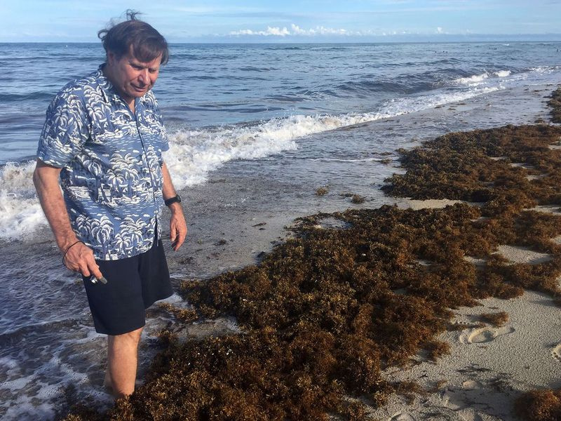 Steve Leatherman, profesor de la Universidad Internacional de Florida que publica el ranking anual Dr. Beach de las 10 mejores playas de los Estados Unidos. Aquí, está cerca de casa en Miami Beach. Solo dos playas de Florida hicieron su lista este año: St. George Island State Park en la península de Florida y Caladesi Island State Park al norte de Clearwater y un corto viaje en bote hacia el Golfo de México desde Honeymoon Island cerca de Dunedin.