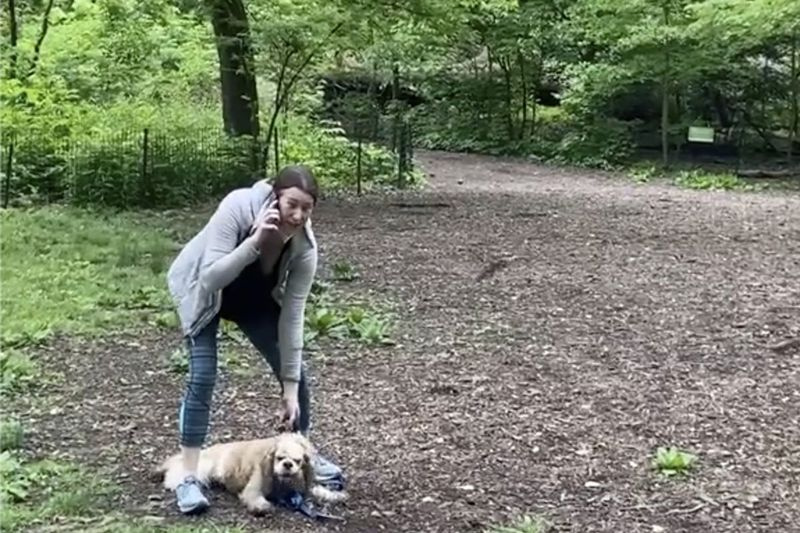 Esta imagem de arquivo de 25 de maio de 2020, obtida de um vídeo fornecido por Christian Cooper, mostra Amy Cooper com seu cachorro ligando para a polícia no Central Park em Nova York.