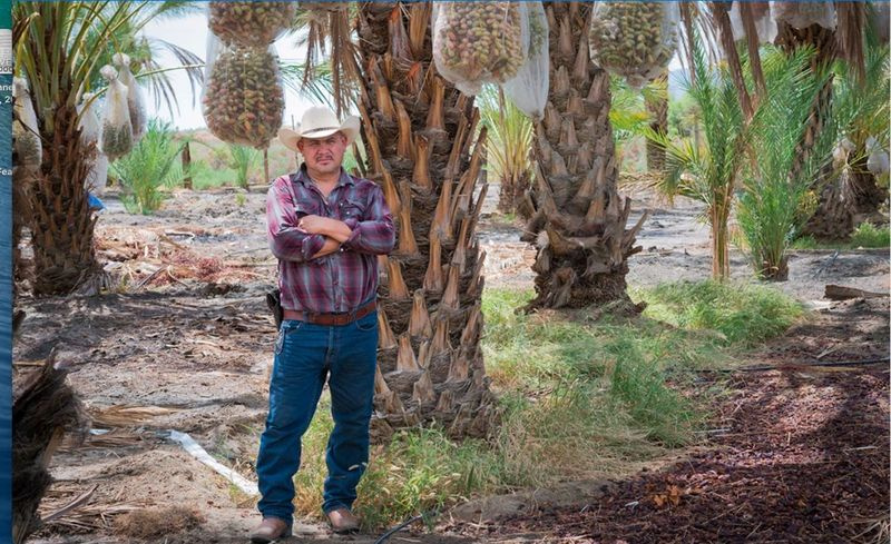 Aguileo Rangel Rojas, originaire de Guanajuato, au Mexique, travaille comme ouvrier agricole à Coachella depuis 2004.