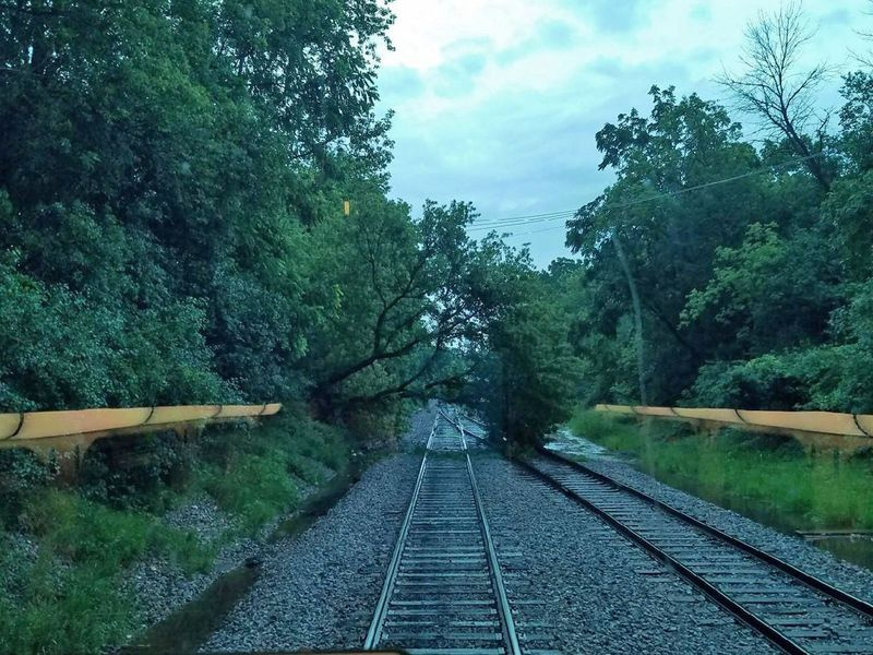 Padlý strom poblíž Libertyville a záplavy v okolí ve středu ráno zastavily provoz na severní lince Metra v Milwaukee District North. | Metrická fotografie