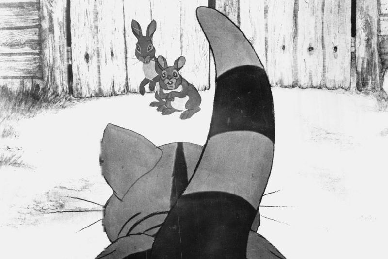 Adegan daripada Watership Down, filem animasi yang menakjubkan untuk seluruh keluarga berdasarkan buku laris terkenal Richard Adams, menampilkan Hazel, Fiver, Pipkin, Bigwig, Kehaar dan semua watak lain yang disukai dan diingati oleh jutaan pembaca Amerika.
