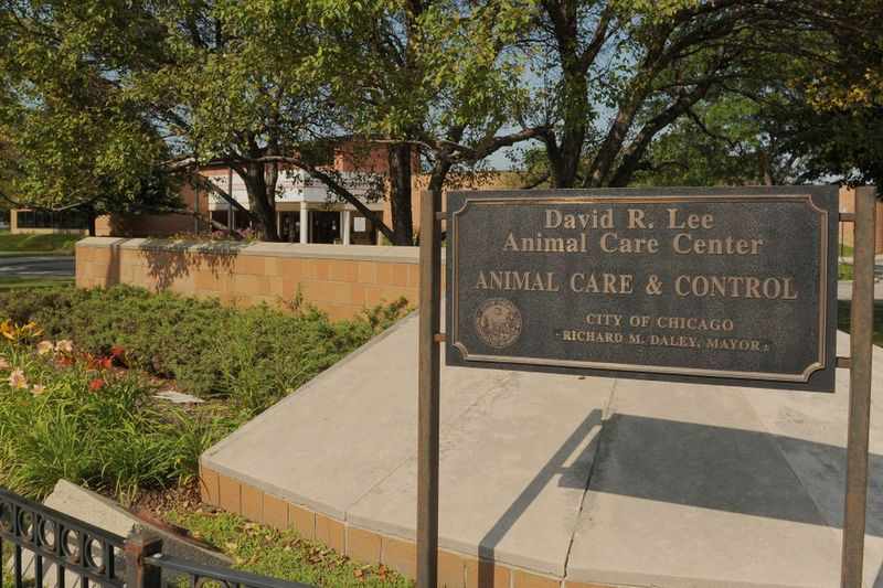 David R. Lee Animal Care Center, 2741 S. Western Ave., som drivs av Chicago Department of Animal Care and Control.