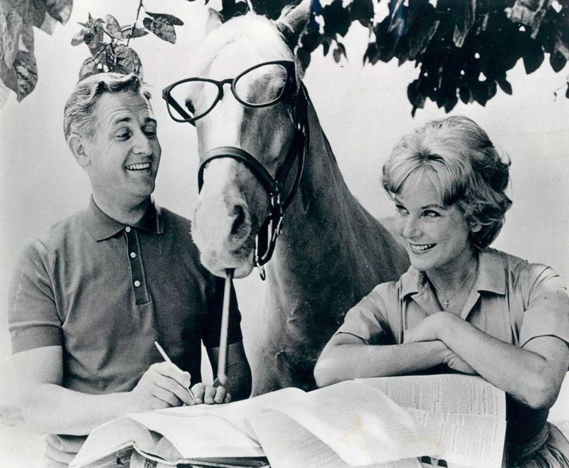 Filmas Mister Ed aktieri — Alans Jangs, Eds kungs un Konija Hainsa. | FAILA FOTO