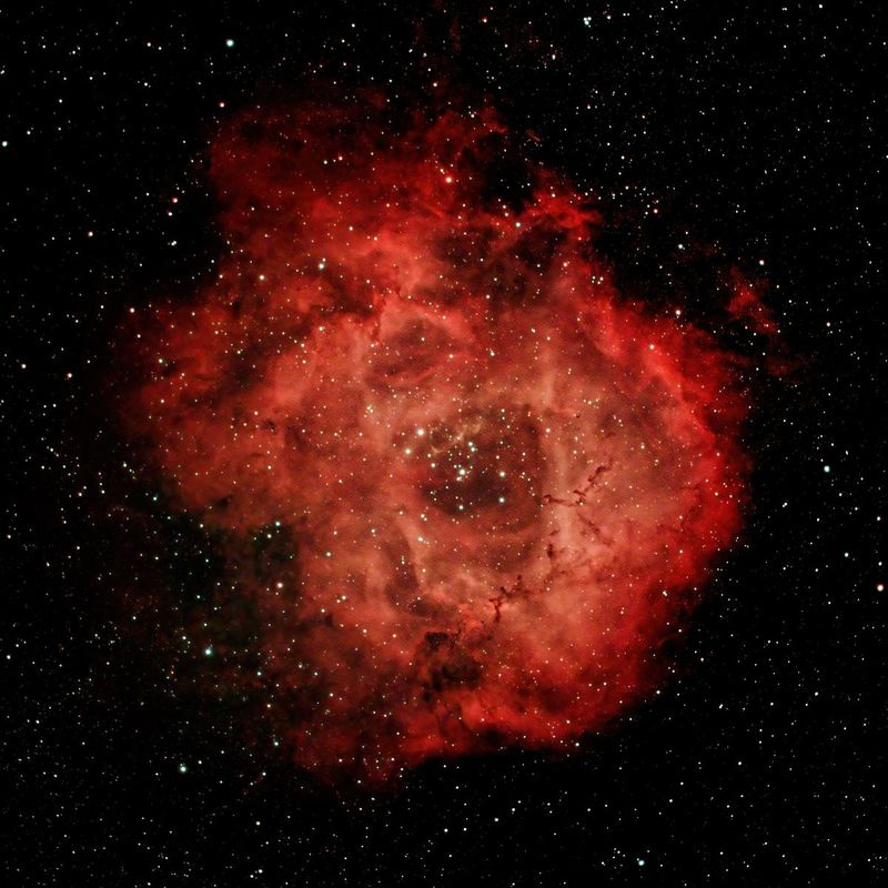 Imagen de la Nebulosa Roseta, capturada por Gian Lorenzo Ferretti en University Village y publicada en su Instagram el 3 de marzo.