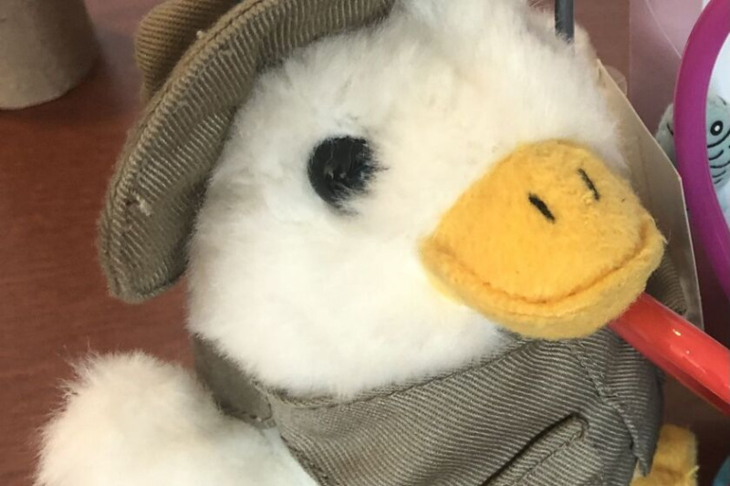   Un animal de peluche que había sido retirado del mercado porque contenía sustancias químicas peligrosas se exhibió el martes en una conferencia de prensa celebrada en el Lurie Children's Hospital para recordar a los padres que estén atentos a los artículos retirados del mercado durante sus compras este año. Los expertos recomendaron varios sitios web que informan a los padres sobre los artículos retirados.