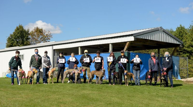 Voluntários com Greyhounds Only e a Greyhound Alliance posam para uma foto no início deste mês em Burlington, Wisconsin, para homenagear Paul Schultz, um voluntário recentemente falecido de Vernon Hills.