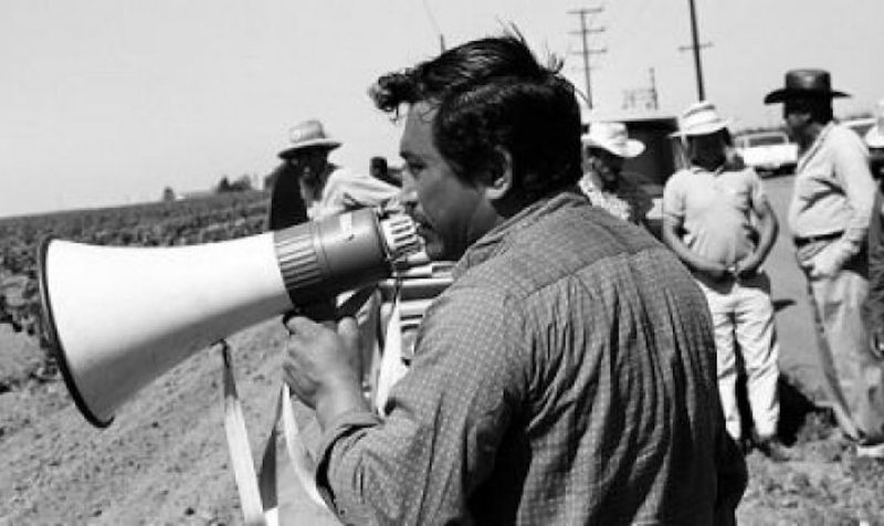 Marcos Muñoz, che viveva a Little Village, è visto qui mentre lavora al megafono come capitano di picchetto per gli United Farm Workers.