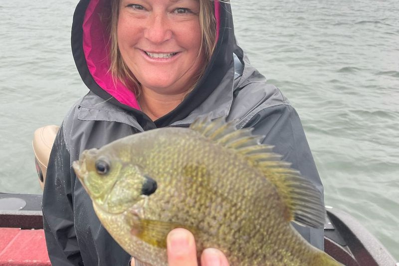 Laura Hiestand s veľkým zeleným jazerným bluegill. Poskytol sprievodca Mike Norris