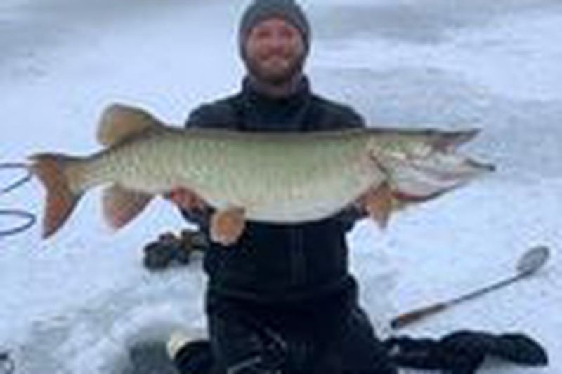 Matt Madlener mit einem großen Chain O’Lakes Muskie durchs Eis. Bereitgestelltes Foto