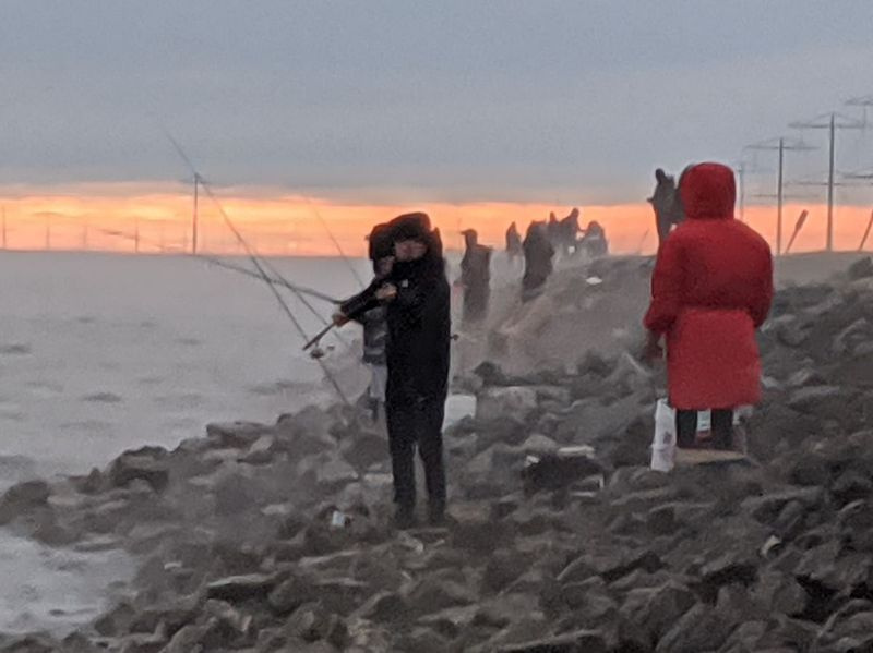 W zeszłym roku wędkarze z Shoreline zapełnili południowy brzeg nad jeziorem LaSalle, które otwiera się ponownie w poniedziałek. Źródło: Dale Bowman