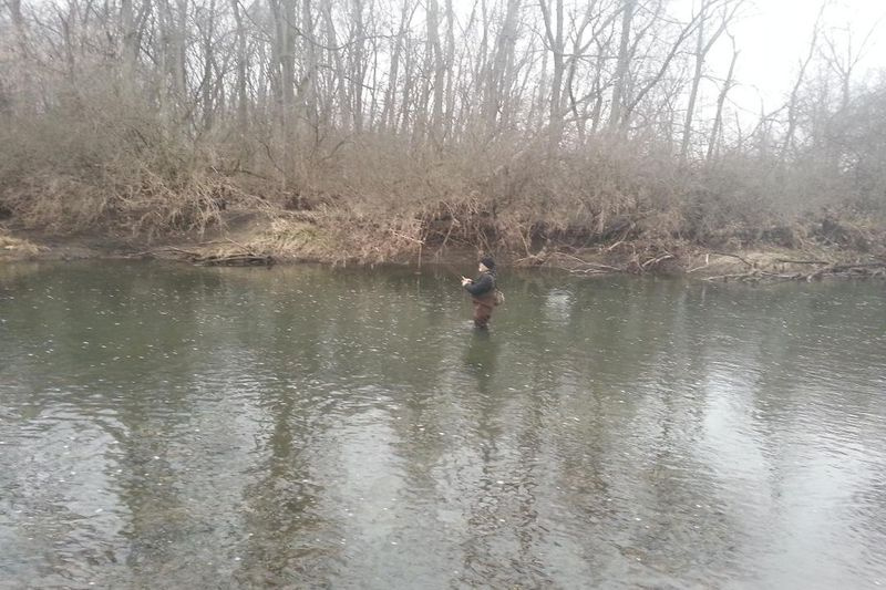 Fotografie de fișier a lui Dale Bowman încercând sezonul timpuriu de pescuit cu muscă la păstrăv pe Rock Creek. Credit: Ed Buric