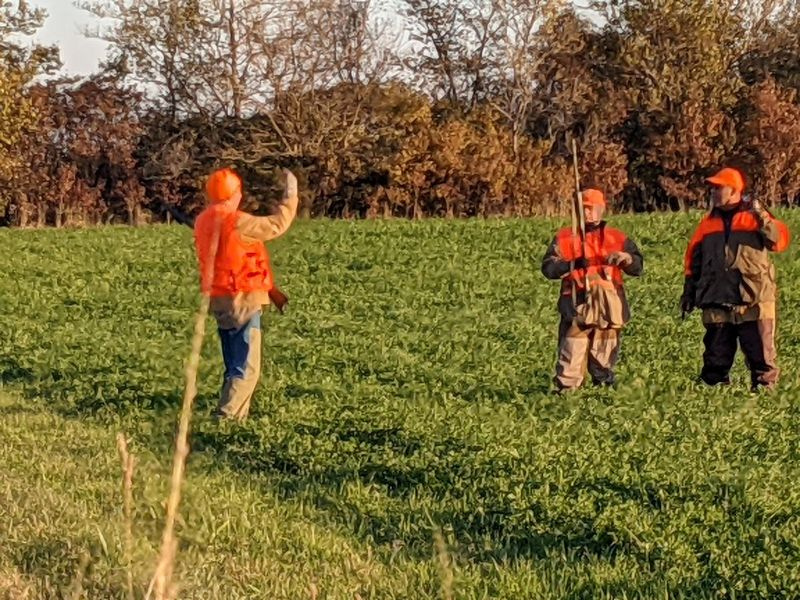 Pete Lamar (à esquerda) discute a estratégia para a caça na área do Steward Pheasant Habitat com Steve Komes e Steve Palmisano. Crédito: Dale Bowman
