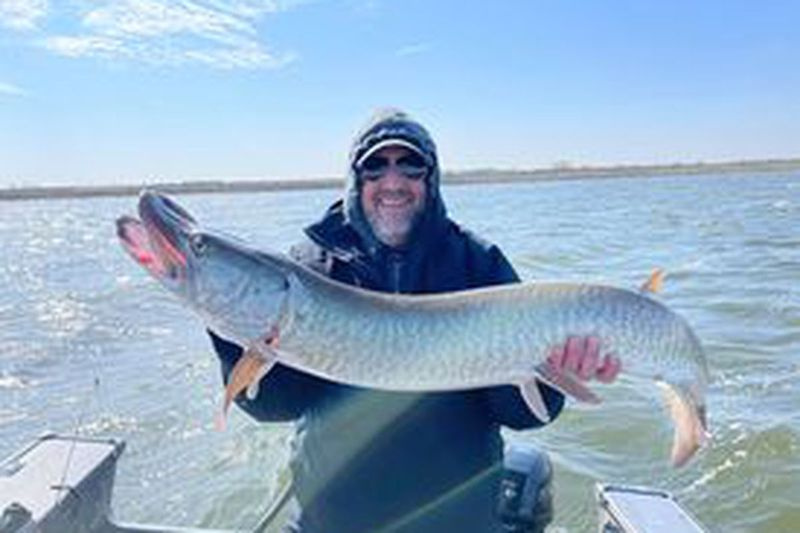 Tim Browns Überraschungsmuskie wurde zum Fisch der Woche. Zur Verfügung gestellt von Jeff Wolfe