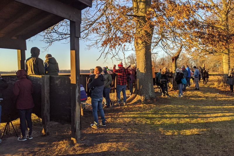Největší dav, jaký jsem kdy viděl, aby si prohlédl písečné jeřáby v Jasper-Pulaski Fish and Wildlife Area v Indianě, rozprostřený podél plotů a dalších oblastí poblíž vyhlídkové věže, aby si procvičil sociální distancování. Kredit: Dale Bowman