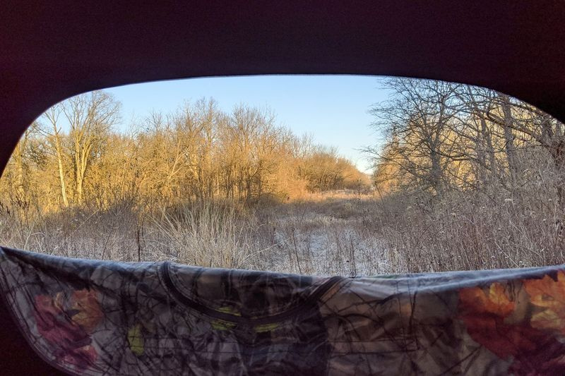 Bestand fotoscène van een hertenblind tijdens het hertenseizoen 2020-21 in Illinois. Krediet: Dale Bowman