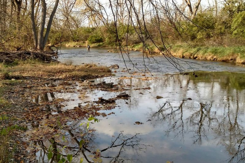 Rock Creek poblíž Kankakee River State Park je jedním z mála míst v okolí, kde se brzy chyť a pusť, a je zde zobrazeno na souborové fotografii z podzimní sezóny. Kredit: Dale Bowman
