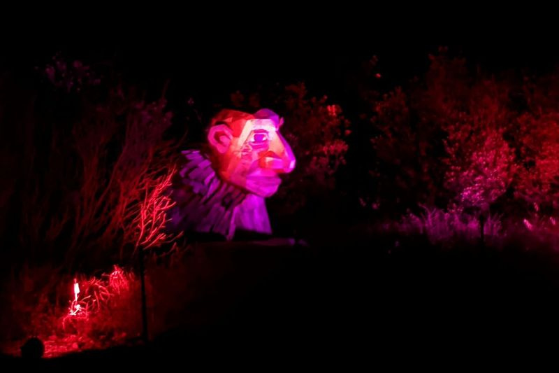 Sneaky Socks Alexa face parte la Symphony Woods la Illumination de la Morton Arboretum din Lisle. Credit: Dale Bowman