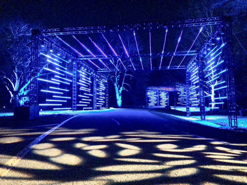 Gateway to Illumination, spectacolul anual de lumini la Morton Arboretum din Lisle. Fotografie furnizată