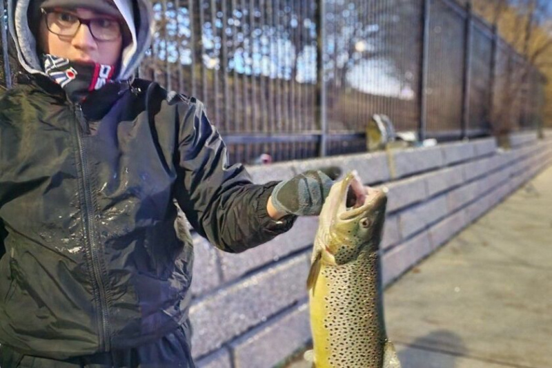  Nate Torres kauni jõeforelliga Burnhami sadamast. Pakutud foto