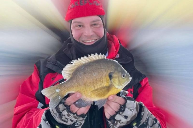 Sam Joseph Militello Jr. mit einem 10,5-Zoll-Bluegill aus Lake County. Bereitgestelltes Foto