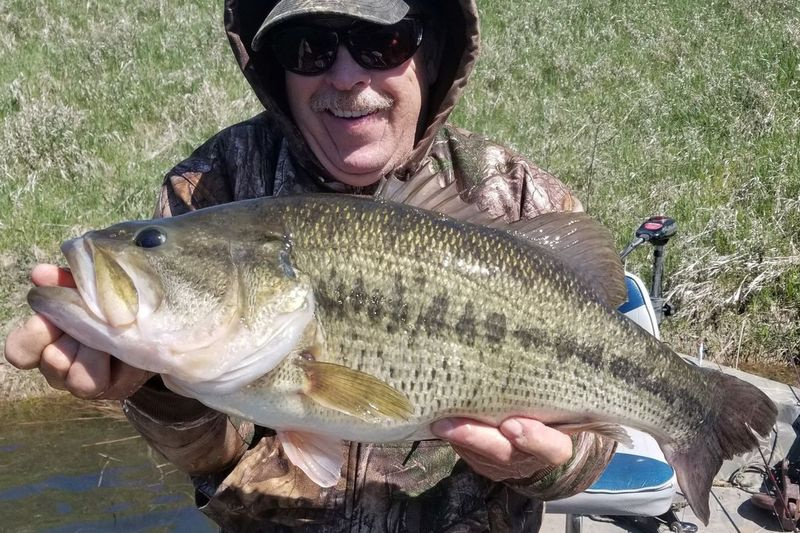 Michael Quigley viser sin personlige bedste largemouth bas, fanget og udgivet på Giant Goose Ranch. Medfølgende foto