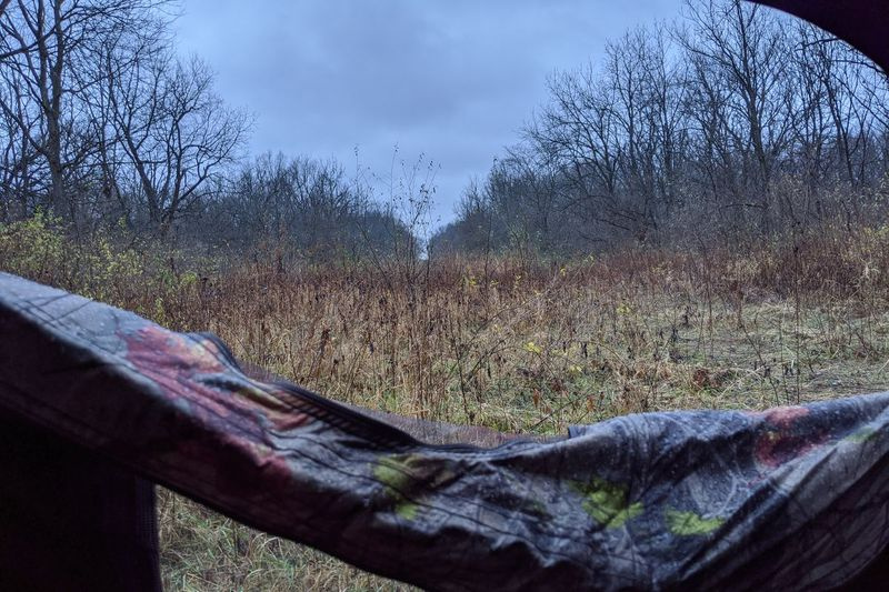 Der Blick von einer Bodenblende am Rande von Wäldern und Prärie in der Midewin National Tallgrass Prairie. Bildnachweis: Dale Bowman