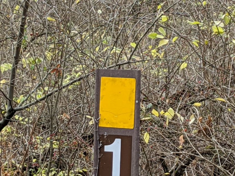Midewin National Tallgrass Prairie verwendet ein System von permanenten Schildern, die mit Nummern markiert sind, die Jagdgebiete bezeichnen, die über GPS-Koordinaten verfügen. Bildnachweis: Dale Bowman