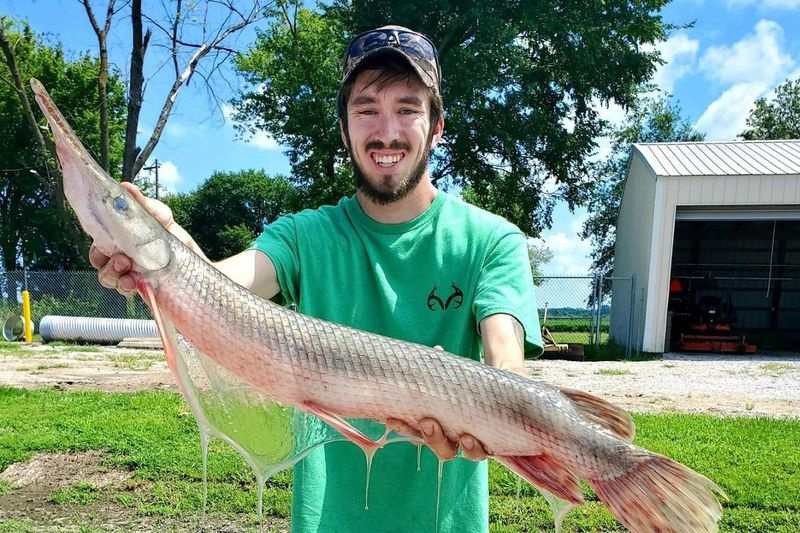 Austin White a attrapé le gar tacheté record de l