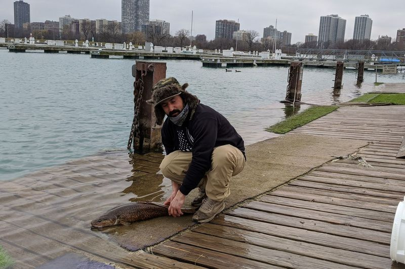 Saro Kevorkian förbereder sig för att släppa sin Illinois-skiva lake tillbaka i Lake Michigan den 8 december. Kredit: Dale Bowman