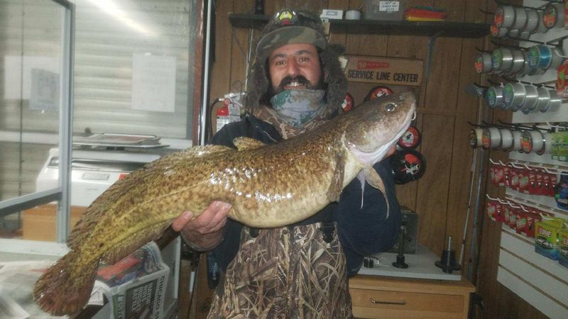 Saro Kevorkian håller sin lake efter vägningen den 7 december 2020 på Park Bait för att bli nästa Illinois-rekord. Foto från Park Bait.