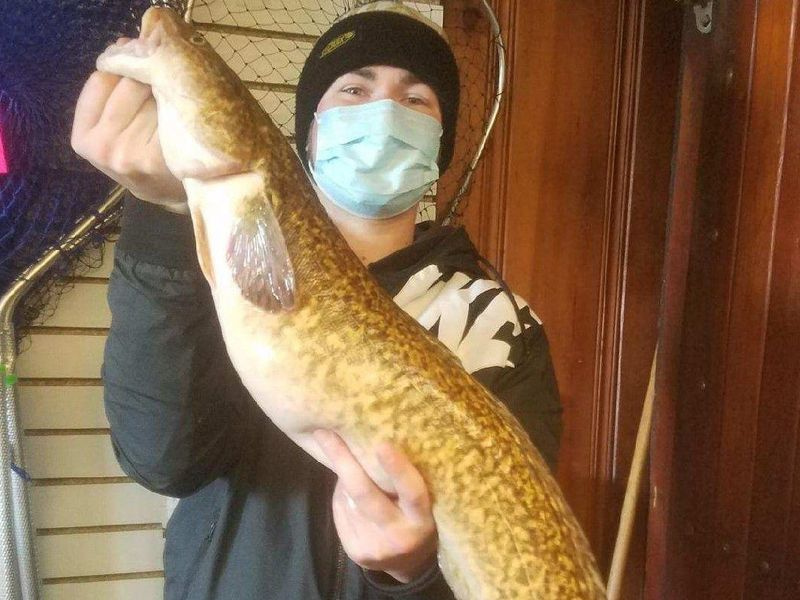Ilgas vaizdas į Luco van Brenko Ilinojaus rekordinį vėgą po svėrimo Park Bait. Nuotrauką pateikė Park Bait
