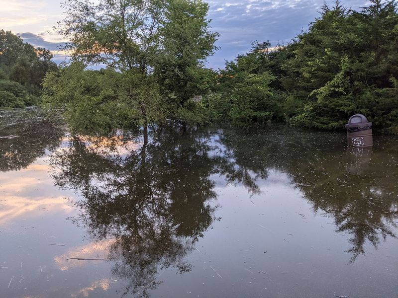 Un rivage inondé et une poubelle inondée, où deux bars blancs ont été capturés dimanche en fin de soirée à Mazonia State Fish and Wildlife Area. Crédit : Dale Bowman