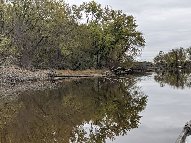 Scena autunnale sul fiume Wolf durante il periodo del white-bass. Attestazione: Dale Bowman