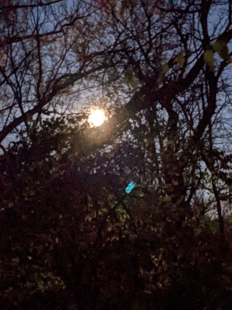 Osaline kuuvarjutus möödus just siis, kui jahimehed astusid Illinoisi esimese tulirelvahooaja avapäeval reedel Des Plainesi osariigi kala- ja metsloomapiirkonna põllule. Krediit: Dale Bowman