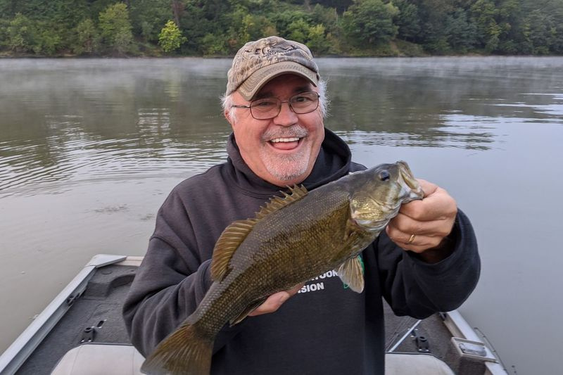Sí, hay una alegría especial en capturar una buena lobina de boca chica en un señuelo de superficie en el río Illinois. Crédito: Dale Bowman