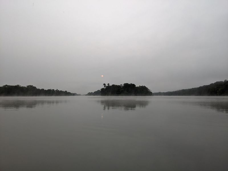 Una escena de una isla en el río Illinois avistada el lunes con el sol protegido por la niebla y la bruma. Crédito: Dale Bowman